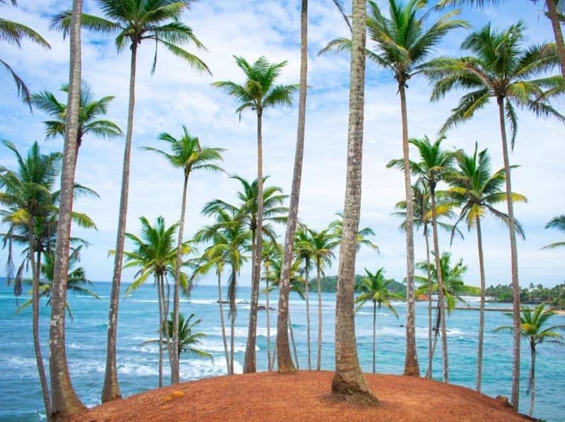 Lanka Villa Mirissa Bagian luar foto