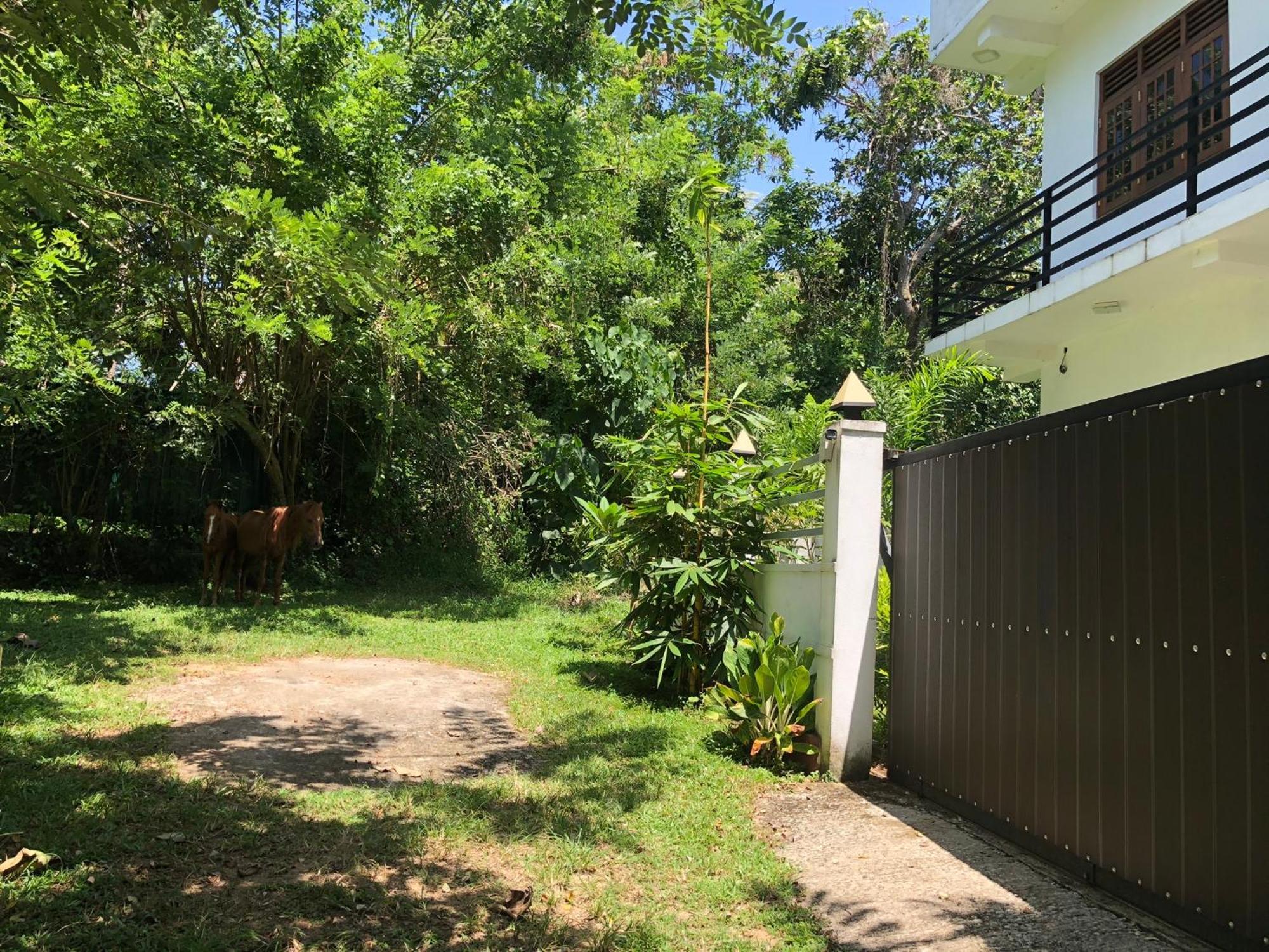 Lanka Villa Mirissa Bagian luar foto