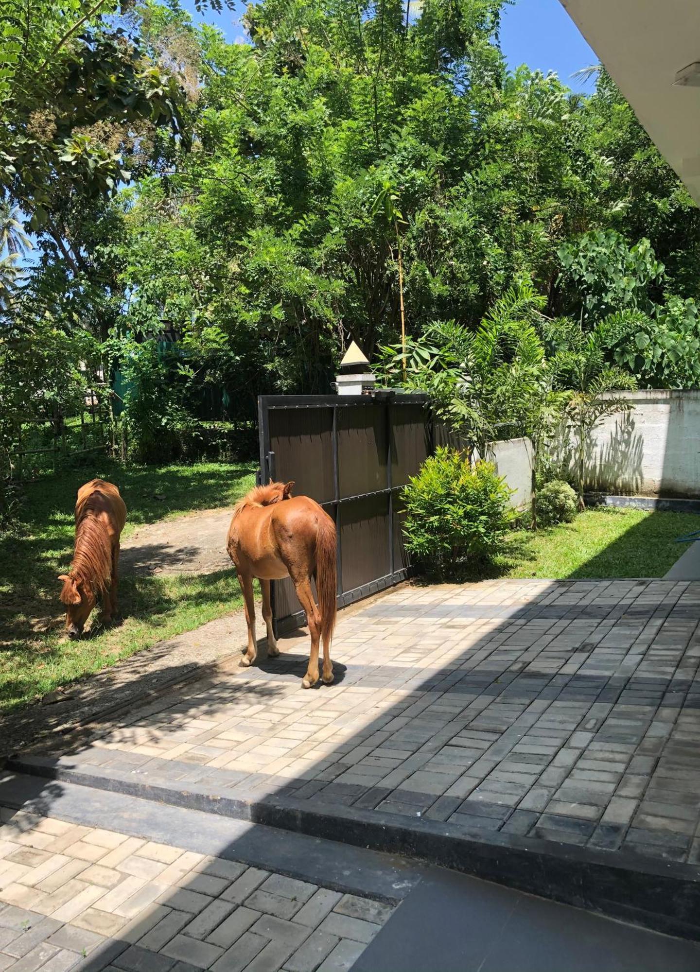 Lanka Villa Mirissa Bagian luar foto